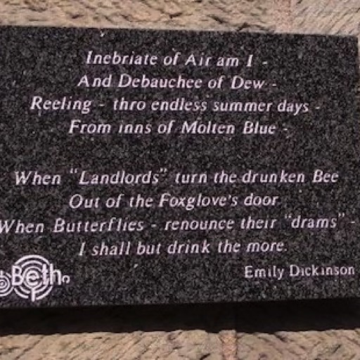 Poem by Emily Dickenson